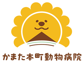 かまた本町動物病院