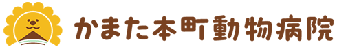 かまた本町動物病院