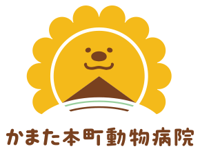 かまた本町動物病院