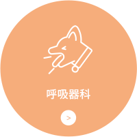呼吸器科