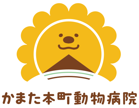 かまた本町動物病院