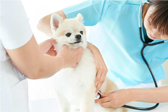 病院イメージ写真